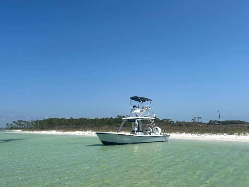 St. Andrews Bay Charters  Tours in Panama City Beach, Florida