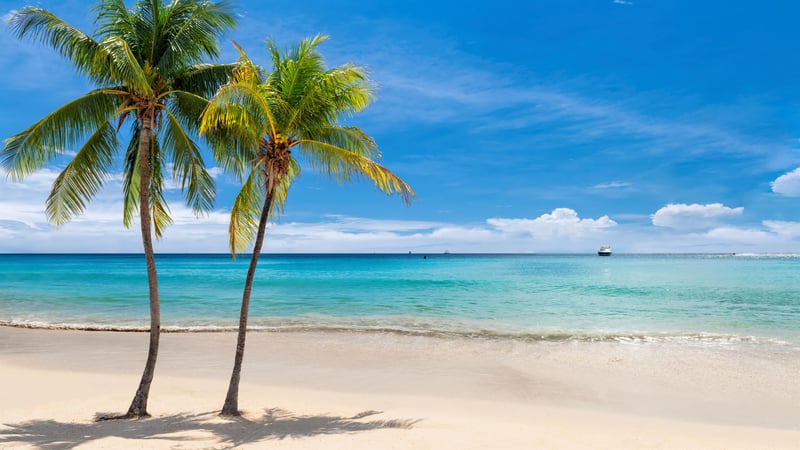 477616 Key West Vacation Rentals Key West Condo Rentals  1977 0 20222 5131