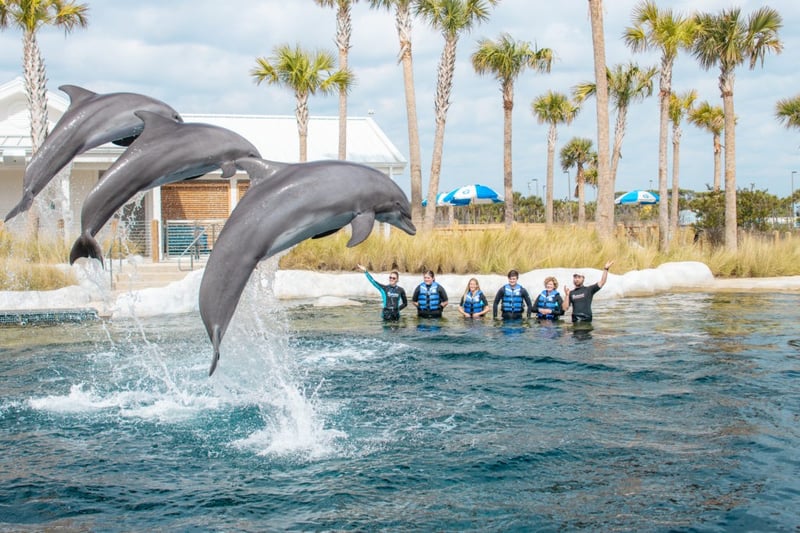 498484 Copyofsplashnplayoasis1821024x683