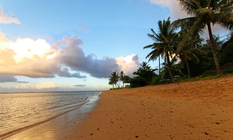 11990 Anini Beach
