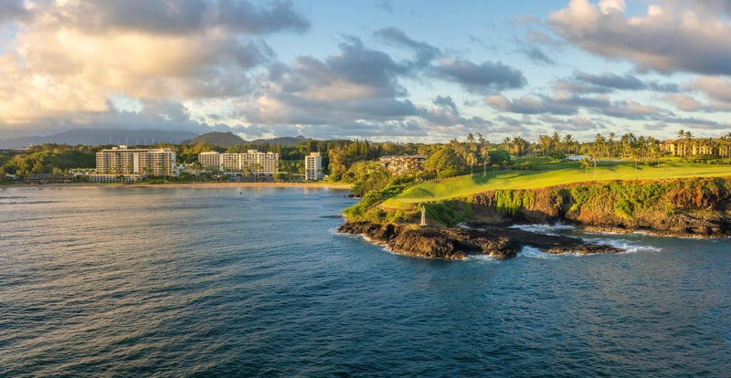 11994 Lihue