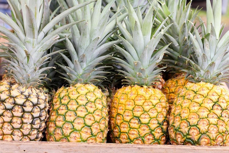 14219 Farmers Markets Pineapple