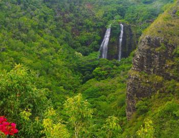 7242 Easternshorekauai