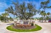 Free At Last Purple Parrot Resort Grounds and Amenities