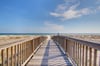 Get up close and person with Needle Rush Point  a gem in Perdido key you wont want to miss.
