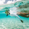 Free Adult Admission on Snorkel Adventure in Season