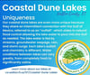 Coastal Dune Lake Info