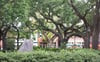 View of lush Wright Square.