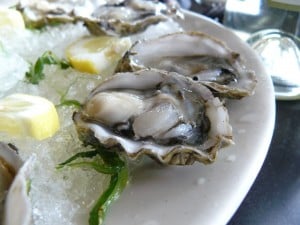 Oystersonice