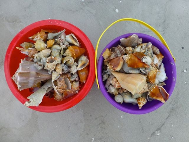 bucket for shells