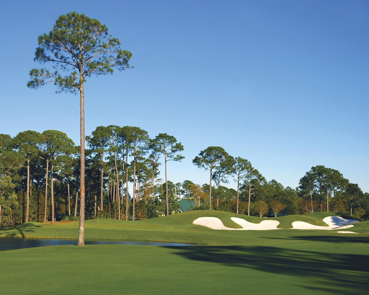 Enjoy discounted golf at  Sandestin Golf and Beach Resort as part of Tee Off for Toys weekend