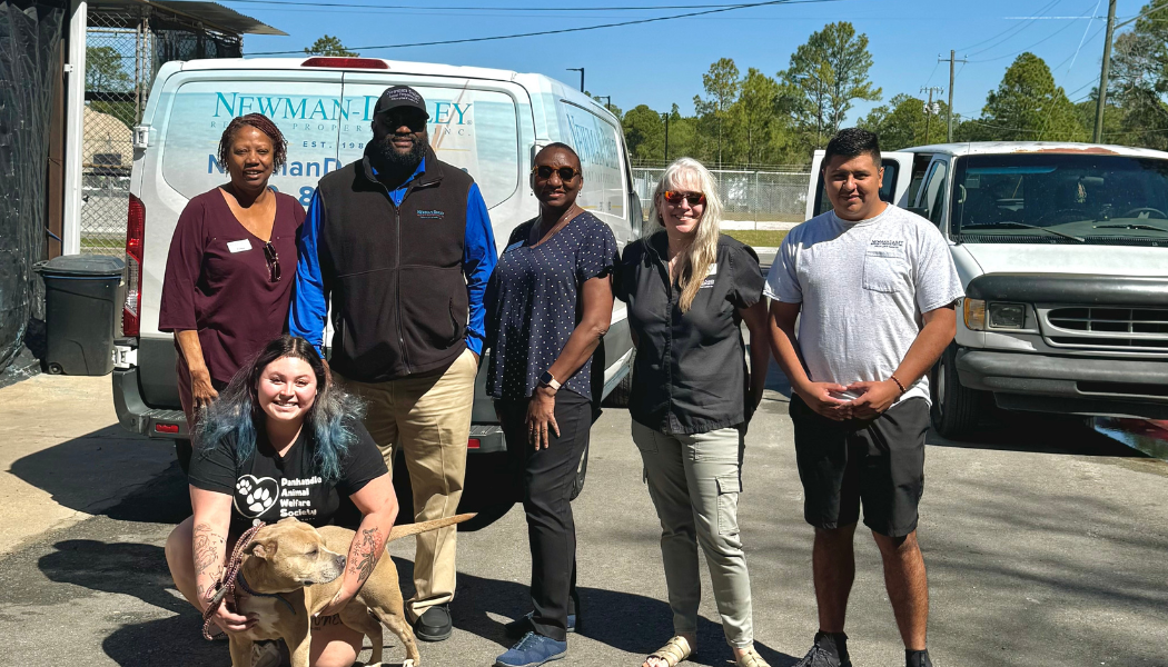 2115262 White And Blue Modern Card Business Card 1