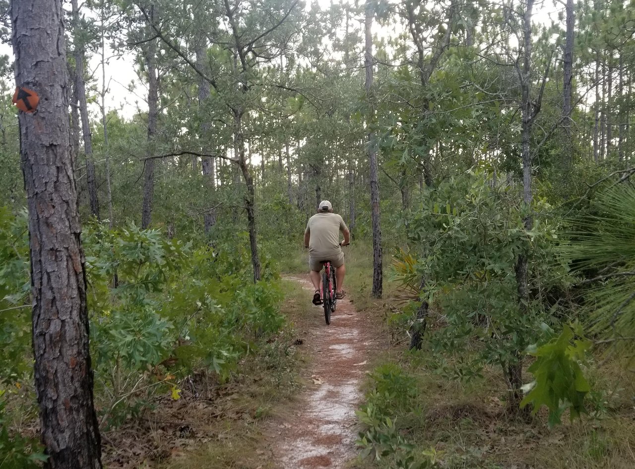 Trail ride2