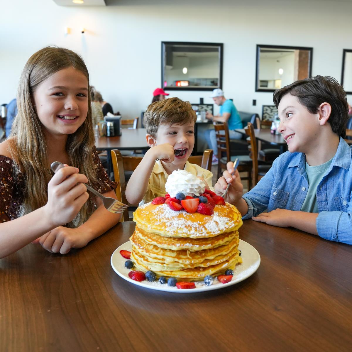 492798547_1274058964261985_287071761931731297_n