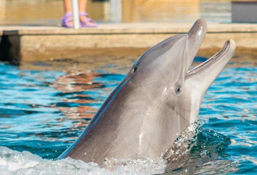 Screenshot 20251107 124041