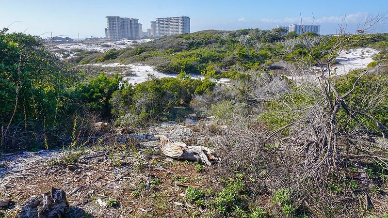 201701 Henderson Beach SP 8L