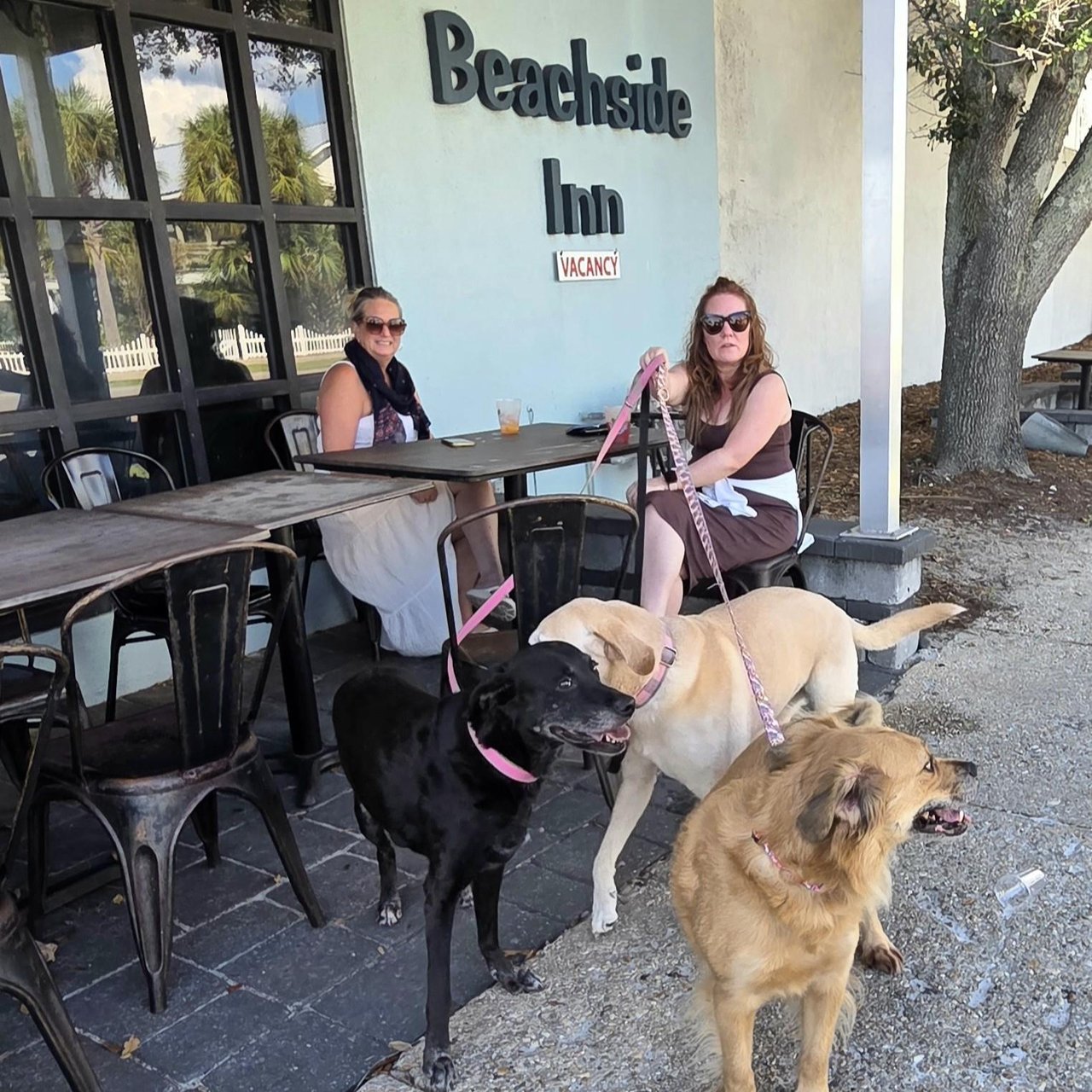 2246755 Beachside Inn Dogs