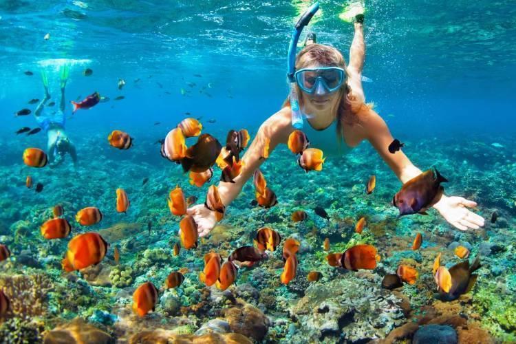 22163591642264destinsnorkel