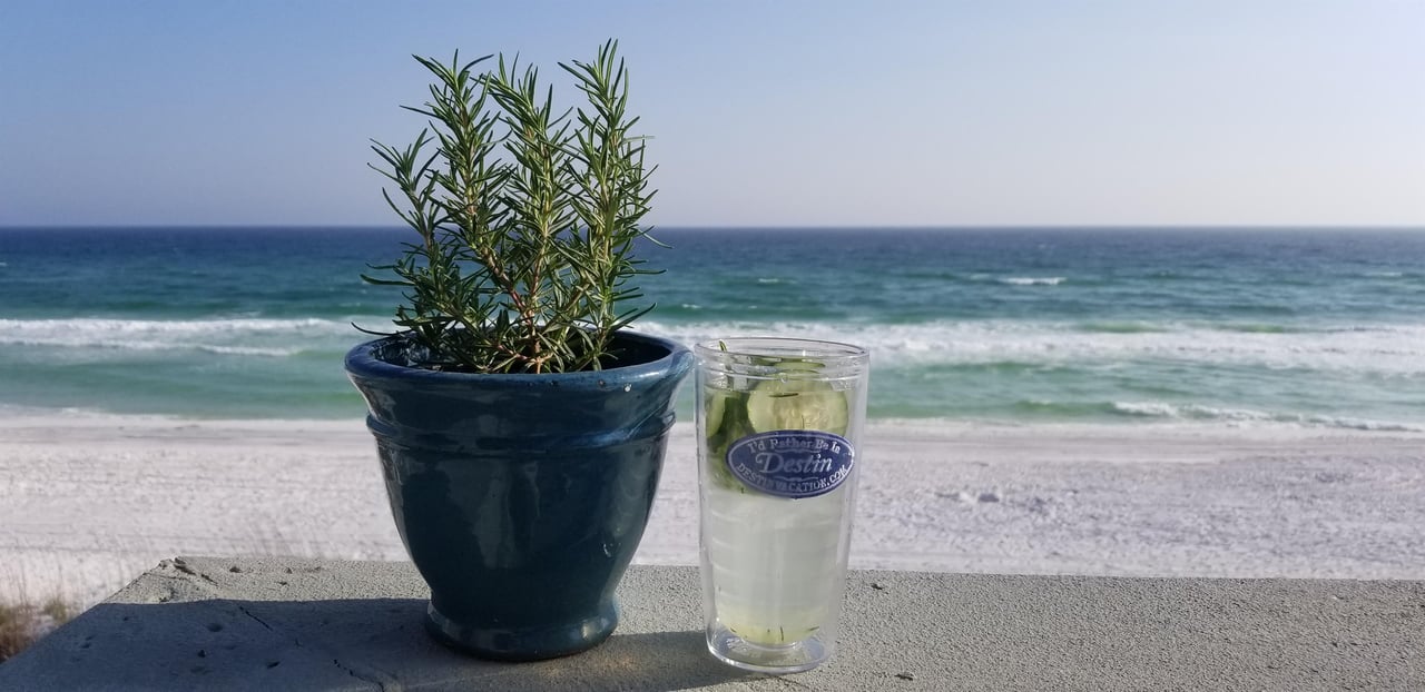 Rosemary by the Sea