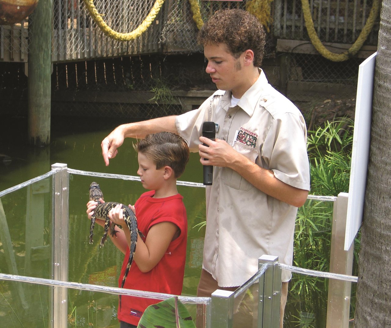 Fuds gator show with kid