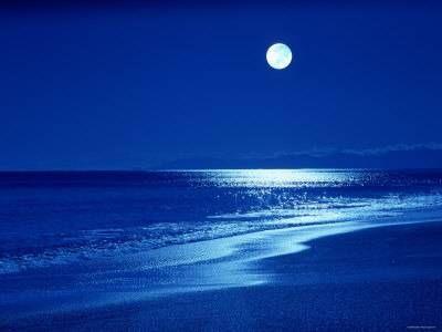 moon lit walk
