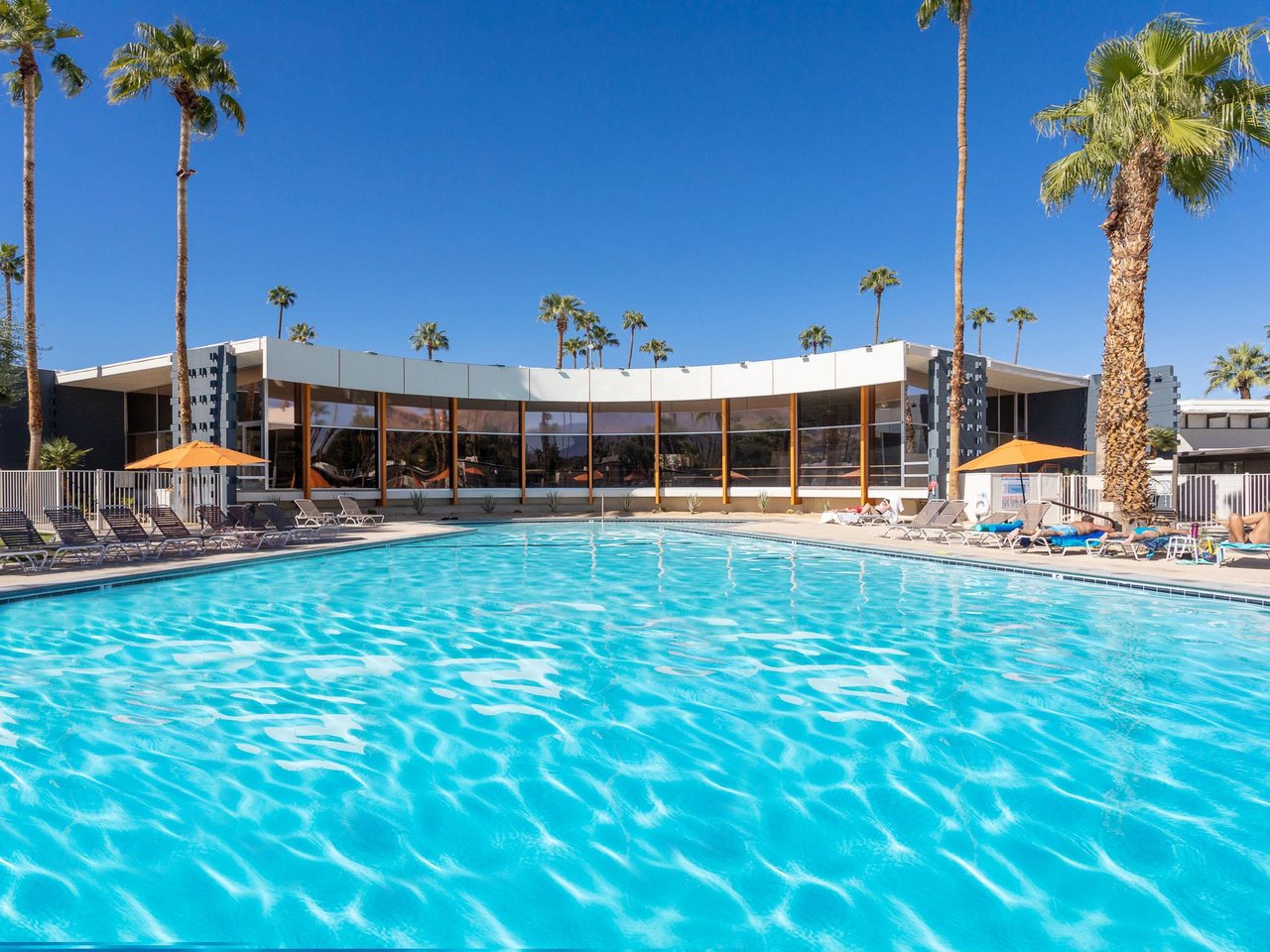 Early morning dip in the pool