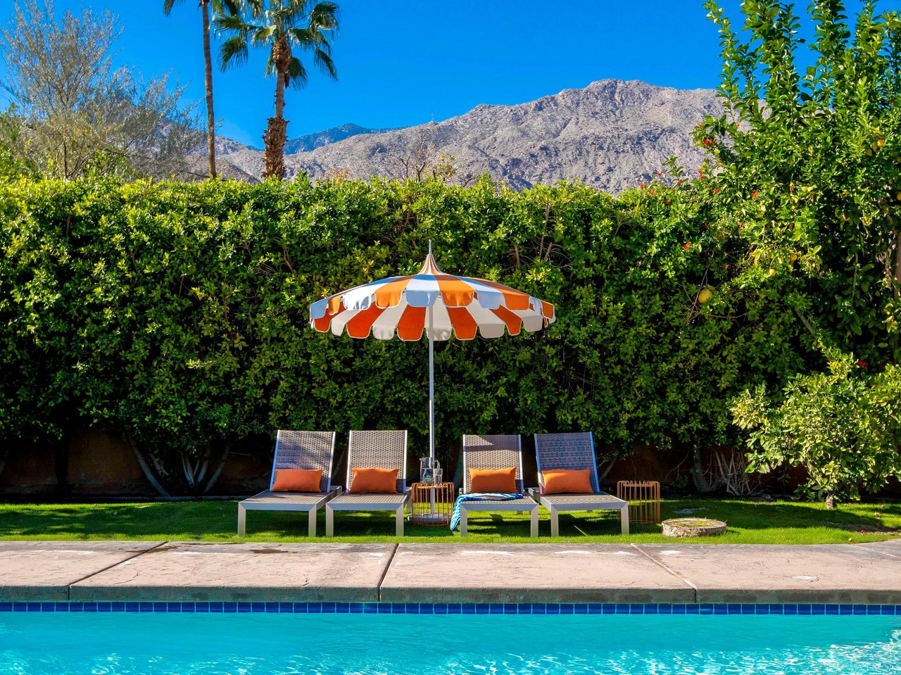 Welcome to The Clever Cactus