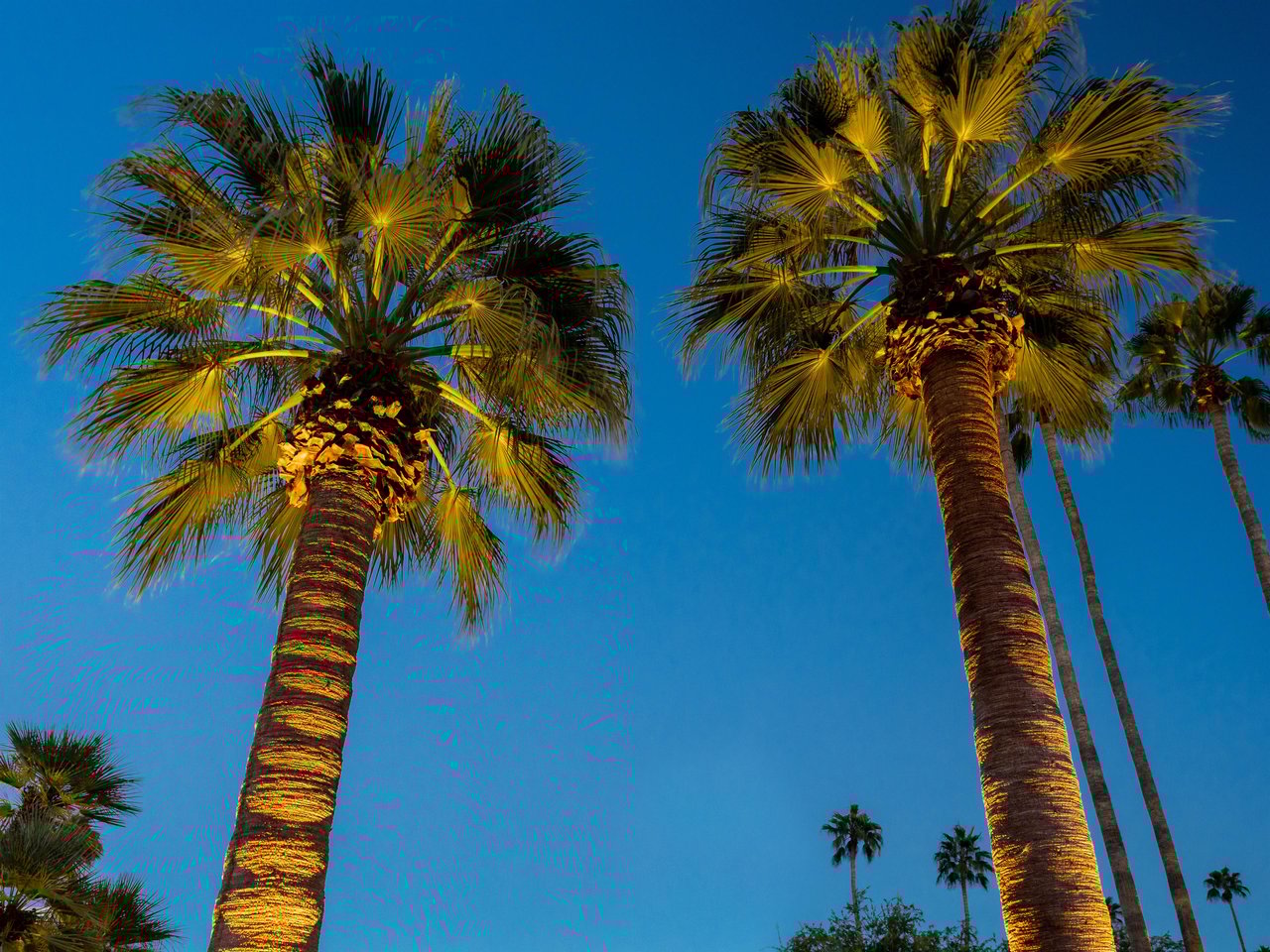 Palm Springs evening skies