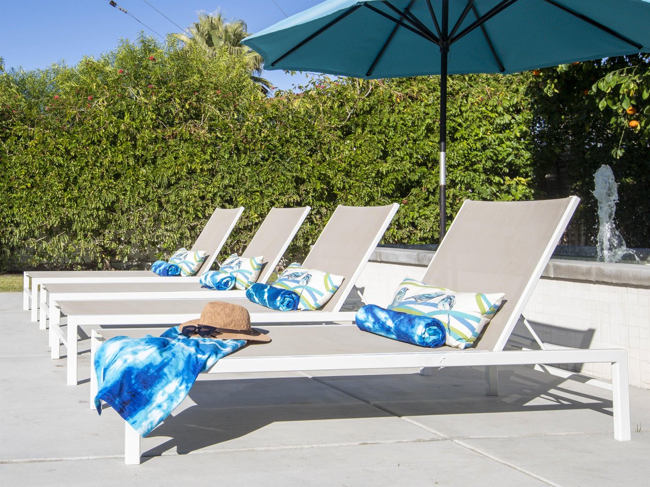 Lounge in the Sunshine