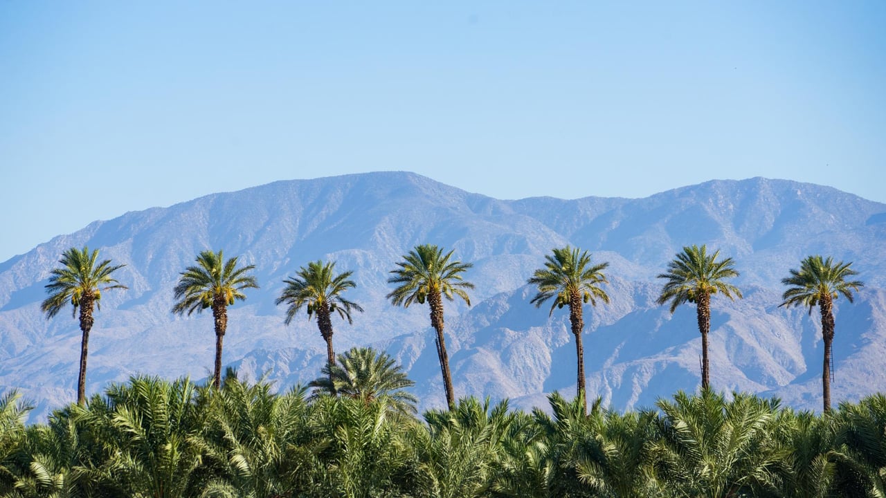 380730 Image Of Palm Springs