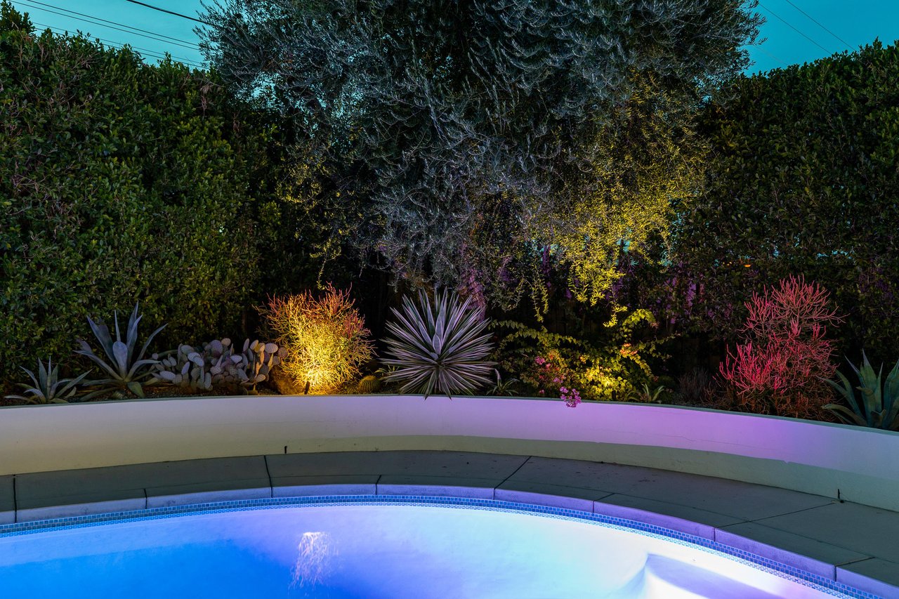Lavish glowing garden