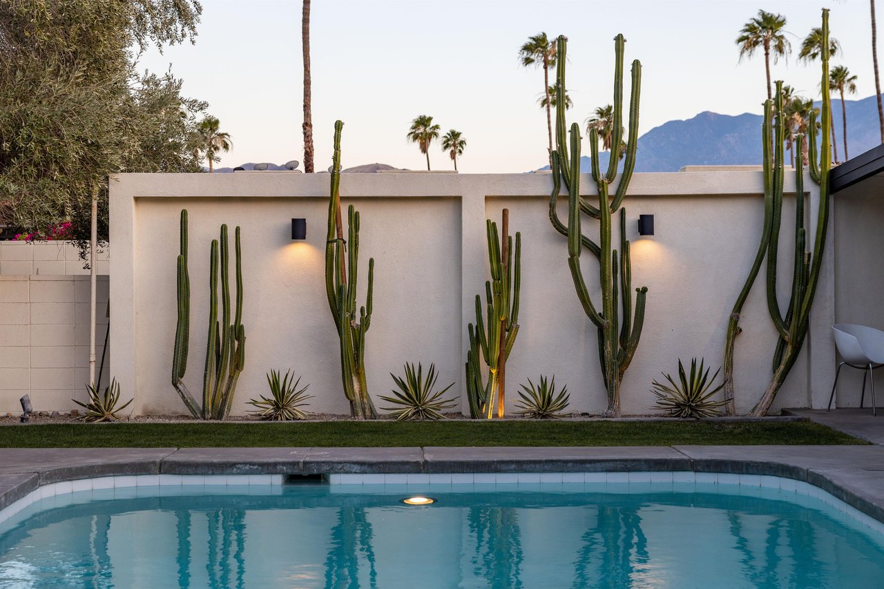 Luxe cactus landscaping by the pool