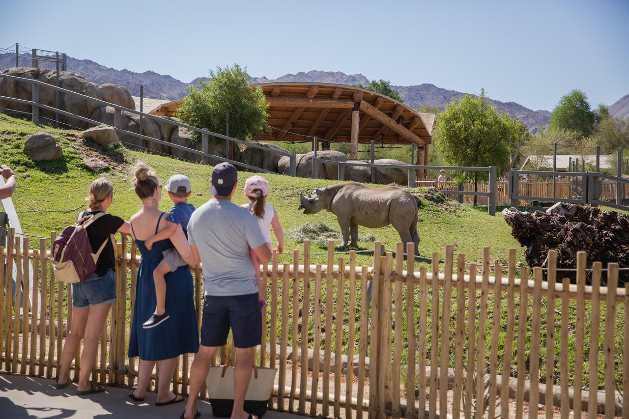 418187 Rhino Savannah Overlook