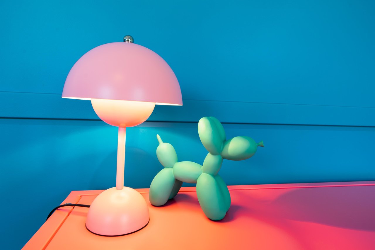 Adorable Balloon Dog