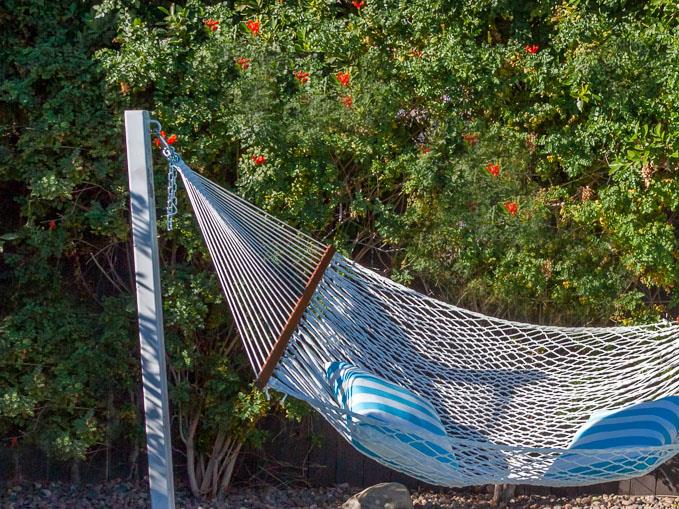 You wont want to leave