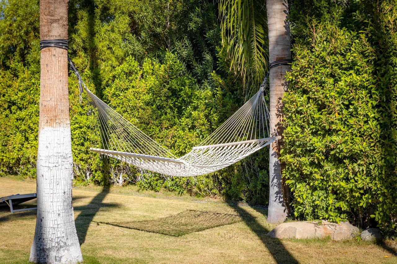Hammock