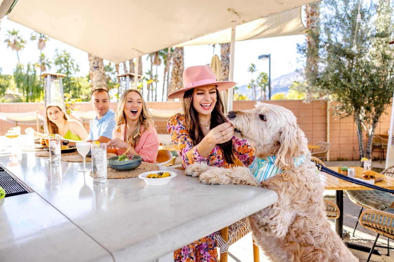 481488 We Have Pet Friendly Palm Springs Vacation Rentals