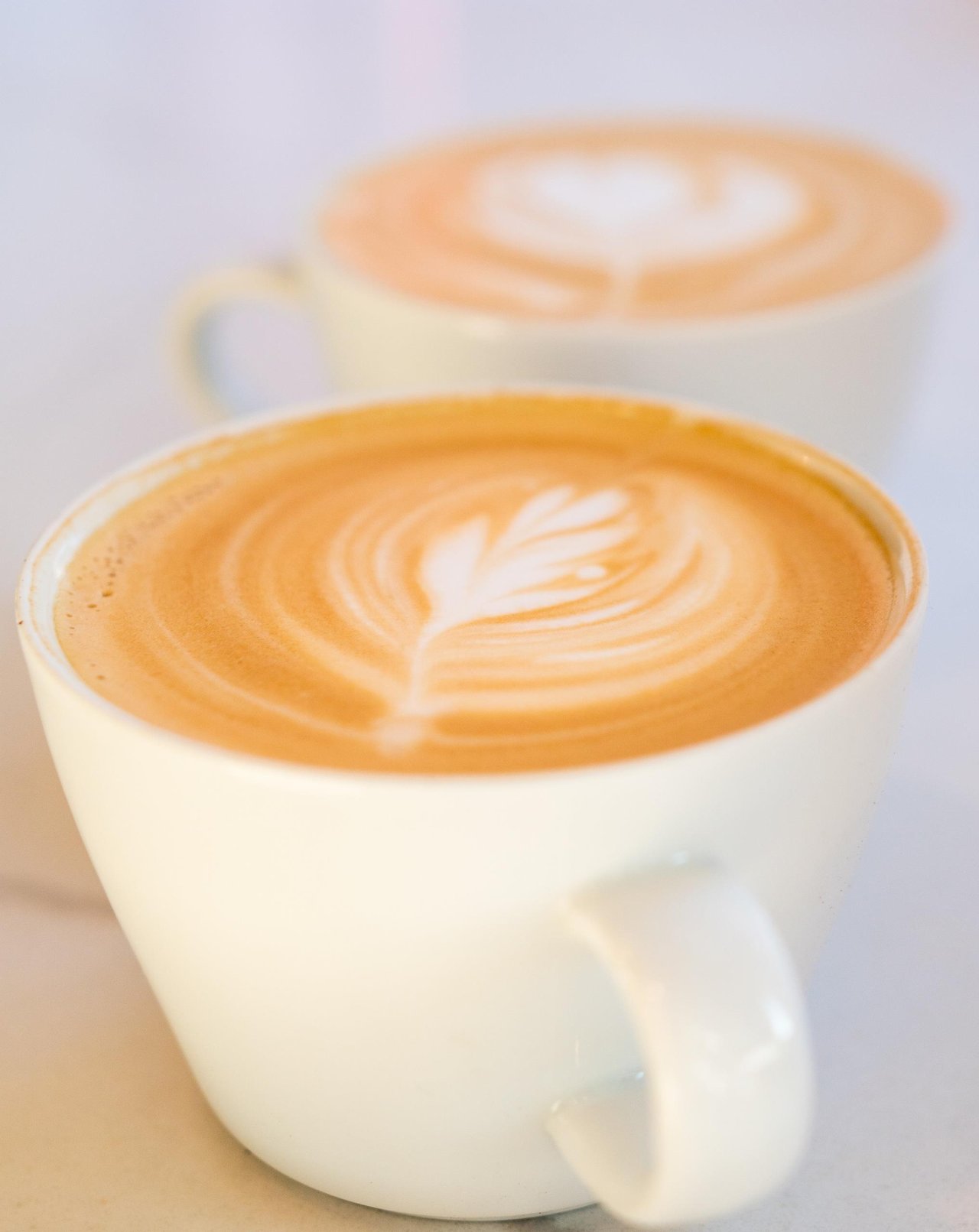 66859 Dsc053742scaled