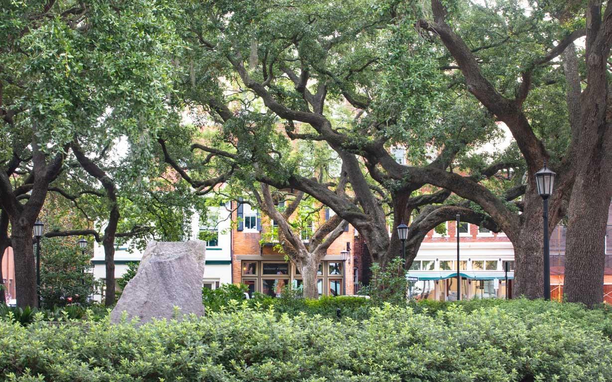 View of lush Wright Square.