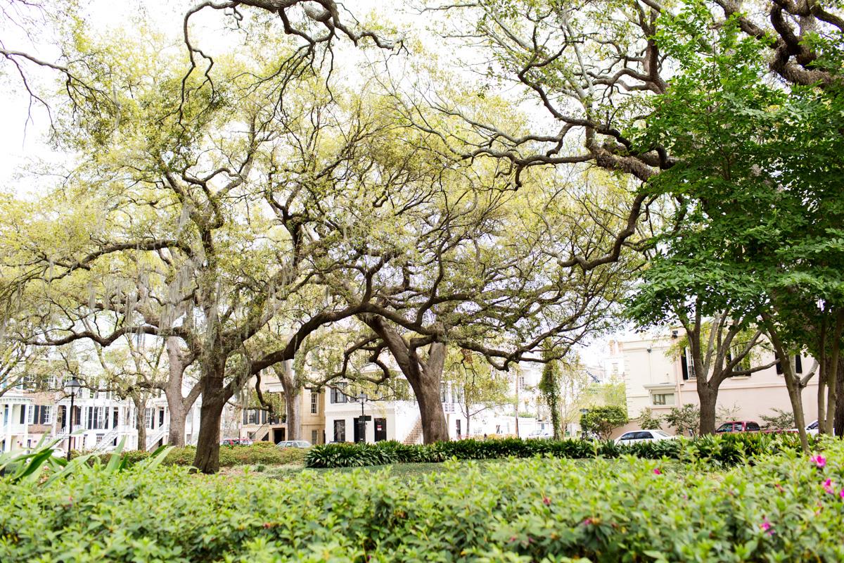Nearby squares are the perfect place to perch.