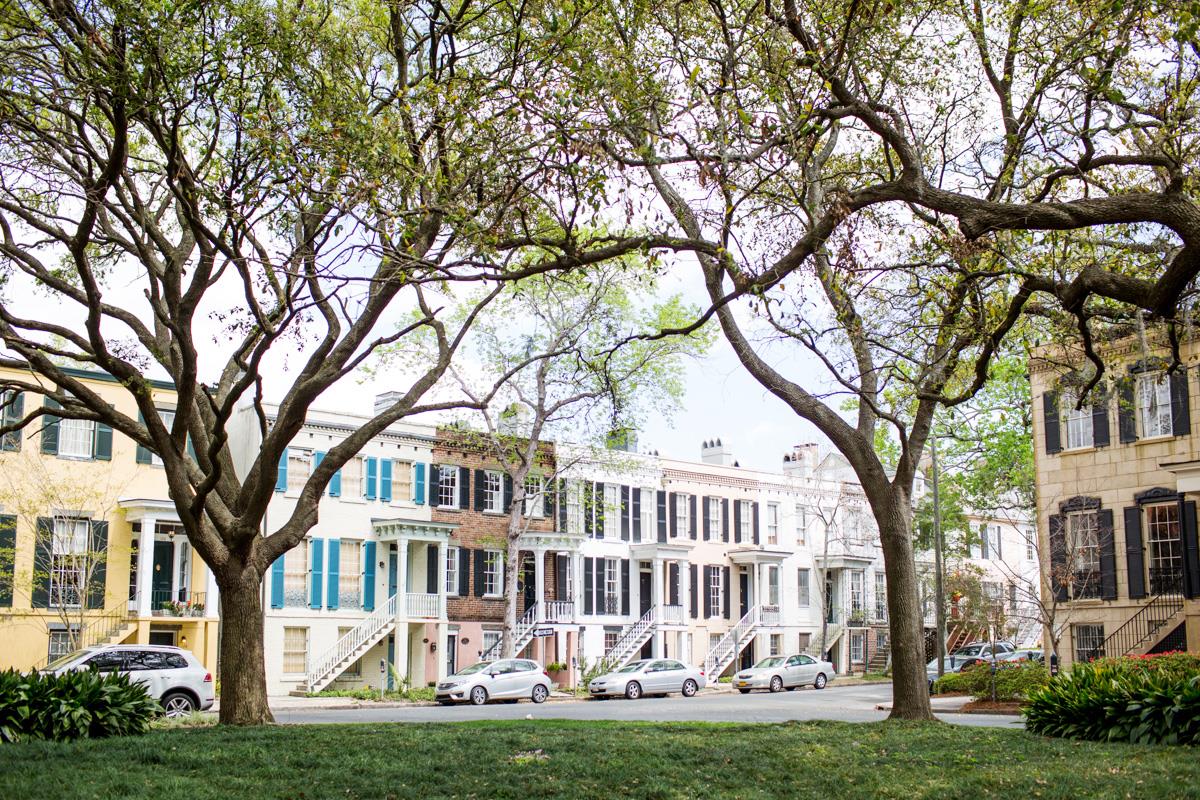 Whippet House is close enough to the city center but tucked away enough for a quiet retreat.