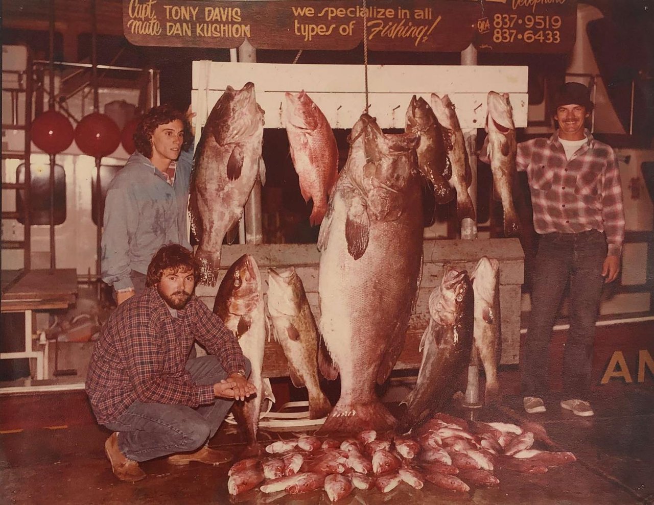 6231 Tommygreenanastasia321333x1030