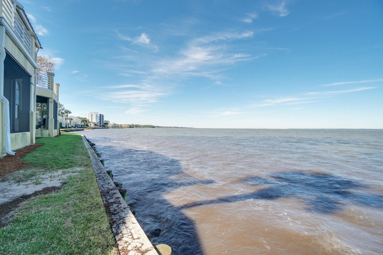 Northshore 977  Backyard