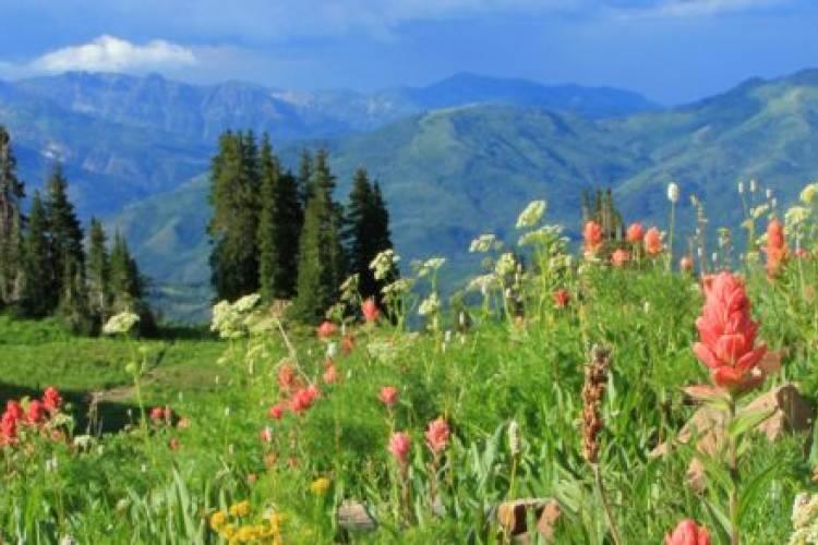 14 Header_summeractivities