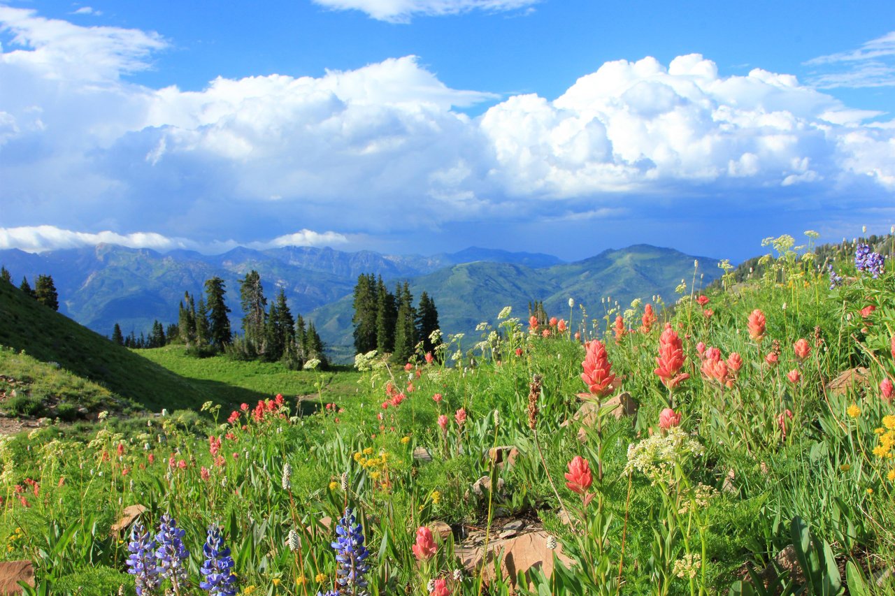 341841 Enjoy Stunning Views From Our Park City Lodging