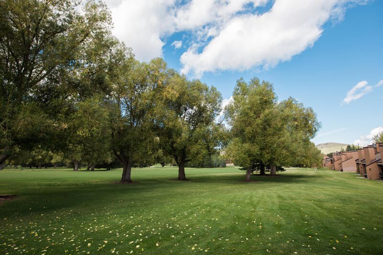 Lush lawns, towering trees, and wide open skies — the stunning golf course surroundings at Park Avenue 243 make every day feel like a special getaway.