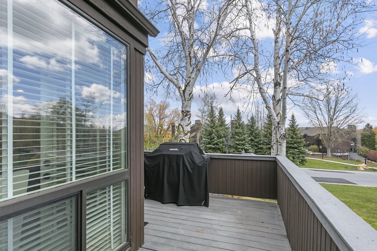 A private deck overlooking a peaceful residential neighborhood, featuring a covered grill ready for outdoor cooking and framed by birch trees and evergreens.