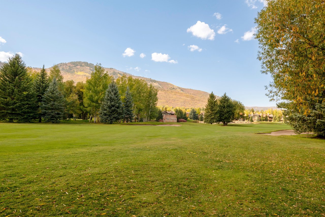Sweeping golf course fairways and dramatic mountain peaks set the stunning backdrop just outside Park Avenue 256.