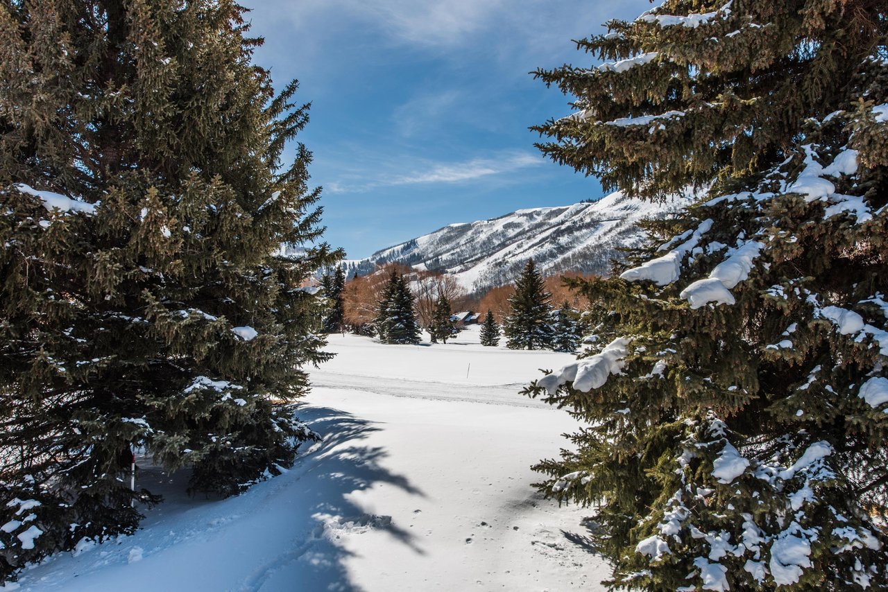 Why choose between a ski vacation and a golf getaway when you can have both Park Avenue 299 sits alongside a golf course in the summer and a crosscountry ski trail in the winter, making this Park Ci