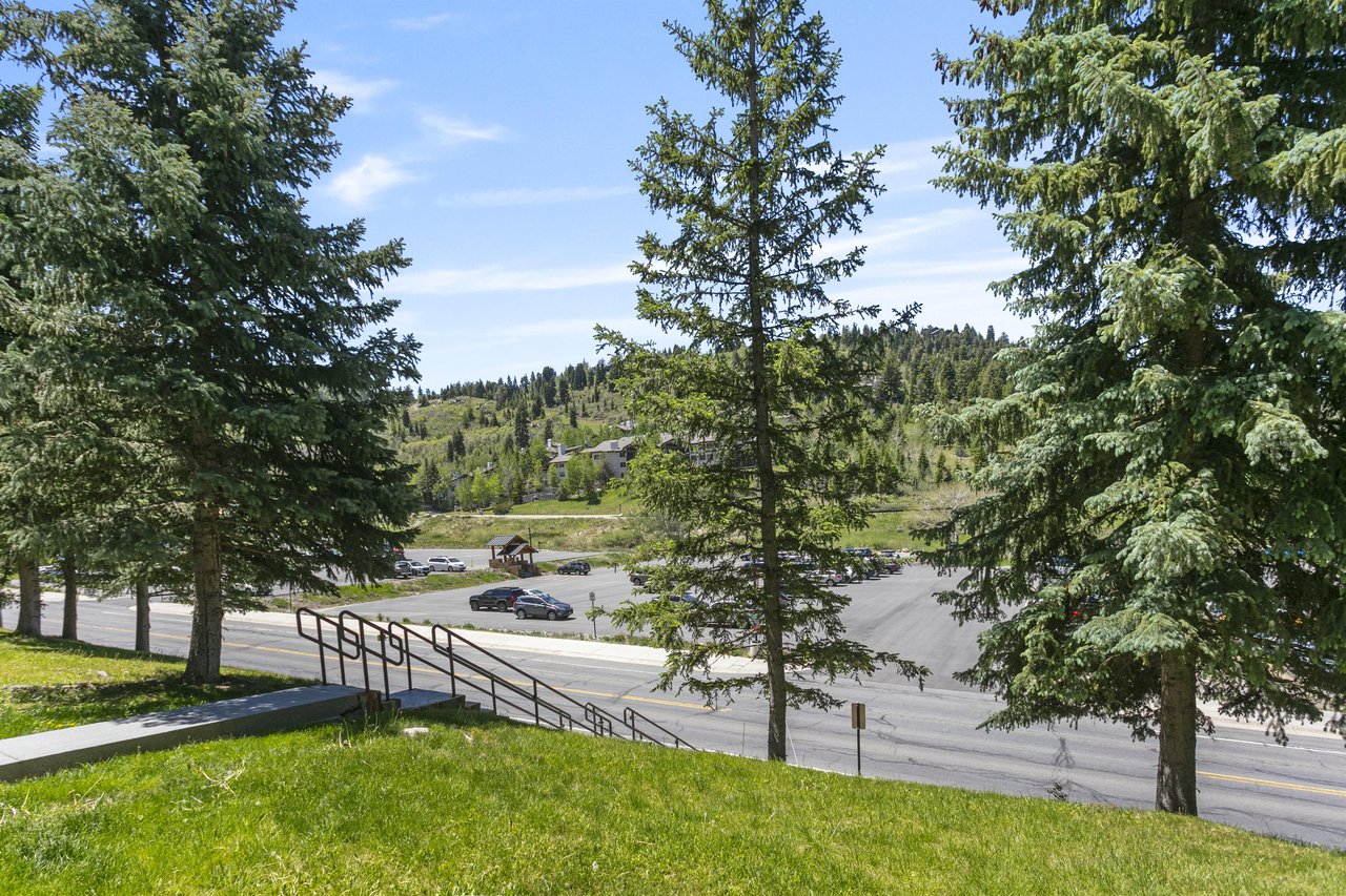 The property is set within a scenic mountain area with abundant evergreen forests, open green spaces, and convenient parking areas visible throughout the surrounding landscape.